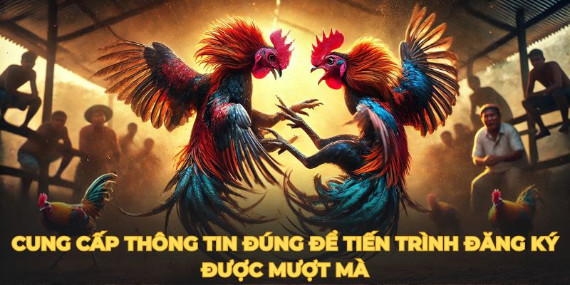 Cung cấp thông tin đúng để tiến trình đăng ký được mượt mà