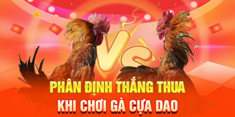 Đá gà phân định thắng thua bằng tiền thưởng