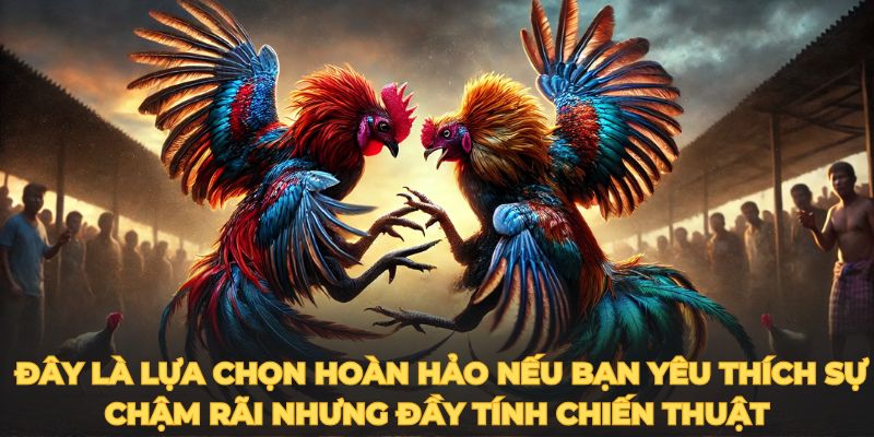  Đây là lựa chọn hoàn hảo nếu bạn yêu thích sự chậm rãi nhưng đầy tính chiến thuật