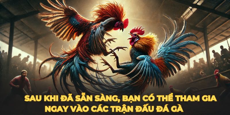  Sau khi đã sẵn sàng, bạn có thể tham gia ngay vào các trận đấu đá gà 